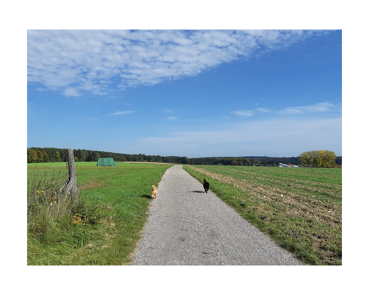 Im Herbst 2019 (13)